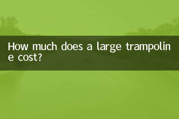 대형 트램폴린의 가격은 얼마입니까?