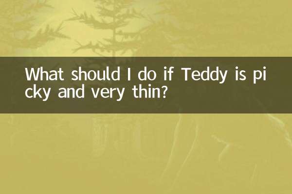 What should I do if Teddy is picky and very thin?