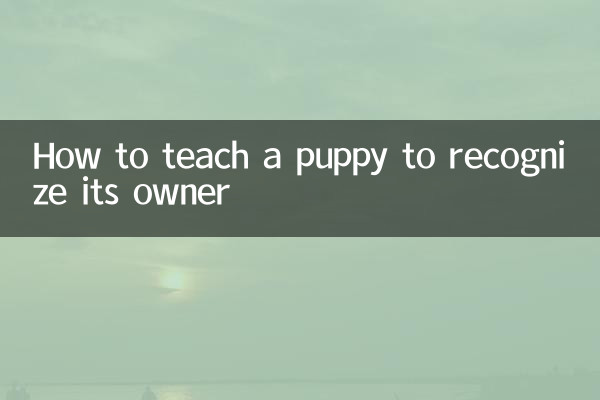 강아지가 주인을 알아보도록 가르치는 방법