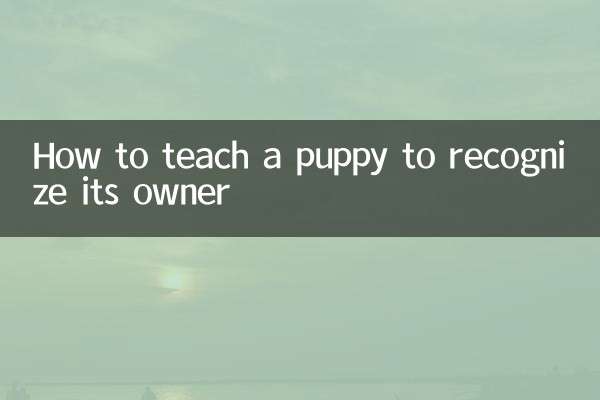 怎么教小狗认主人