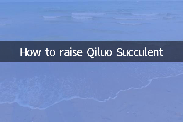 綺羅多肉怎麼養