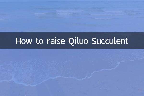 綺羅多肉怎麼養