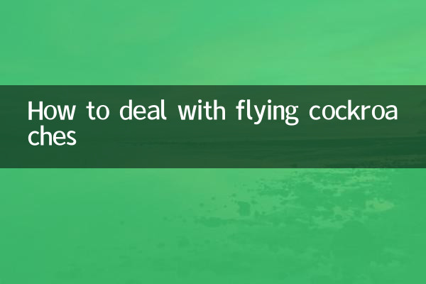 How to deal with flying cockroaches