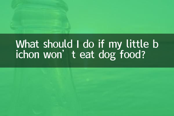 Was soll ich tun, wenn mein kleiner Bichon kein Hundefutter frisst?