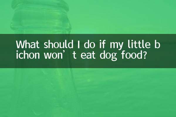 Что делать, если мой маленький бишон не ест собачий корм?