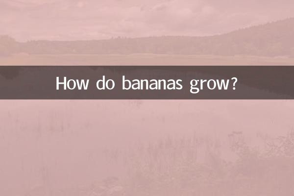 كيف ينمو الموز؟