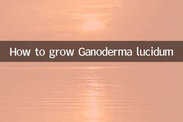 Como cultivar Ganoderma lucidum