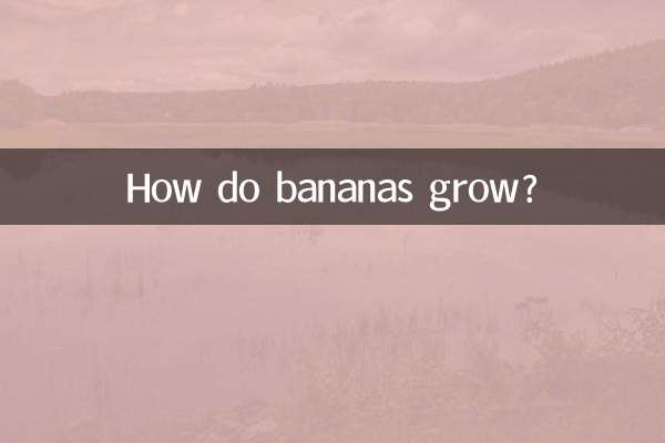 كيف ينمو الموز؟