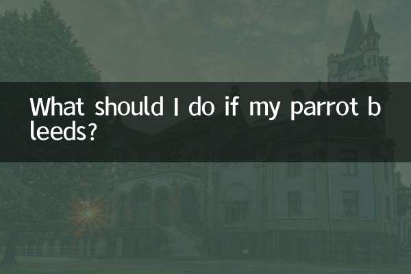 আমার তোতাপাখির রক্তপাত হলে আমার কী করা উচিত?