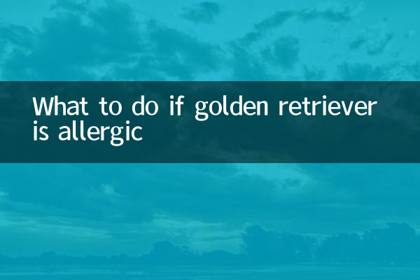 গোল্ডেন রিট্রিভার এলার্জি হলে কি করবেন