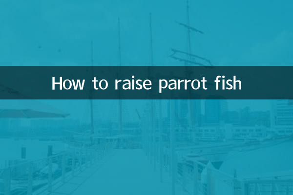 Come allevare il pesce pappagallo