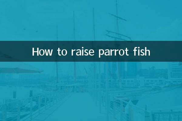 Come allevare il pesce pappagallo