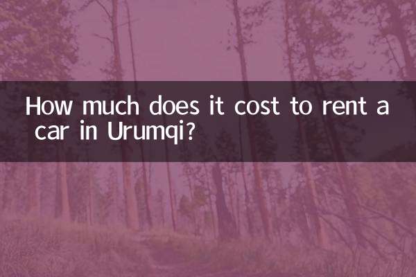 ウルムチでレンタカーを借りるのにいくらかかりますか?