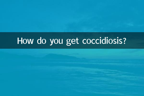 콕시듐증은 어떻게 걸리나요?