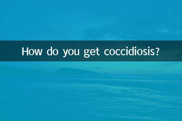 Come si prende la coccidiosi?