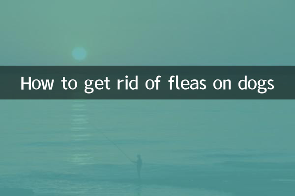 Cómo deshacerse de las pulgas en los perros