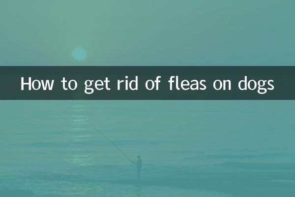 چگونه از شر کک سگ خلاص شویم