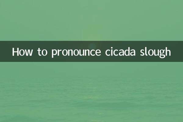How to pronounce cicada slough