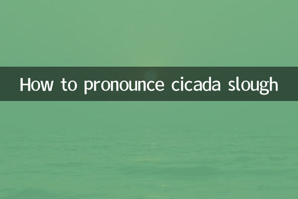 सिकाडा स्लो का उच्चारण कैसे करें