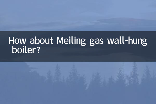 Que diriez-vous de la chaudière murale à gaz Meiling ?