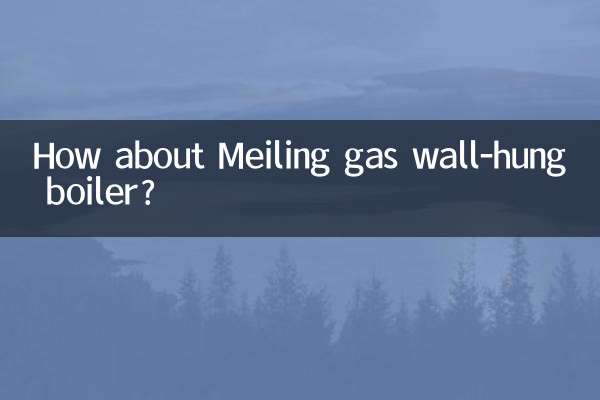 Che ne dici della caldaia murale a gas Meiling?