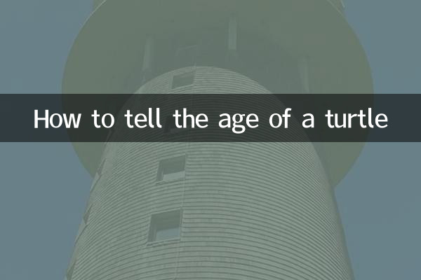 How to tell the age of a turtle