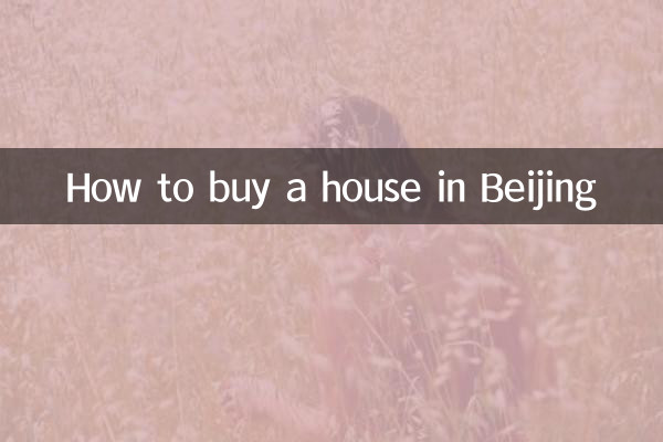 베이징에서 집 구하는 방법