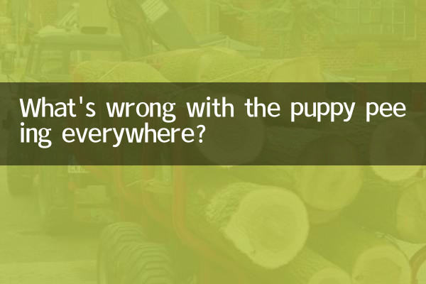 पिल्ले के हर जगह पेशाब करने में क्या खराबी है?