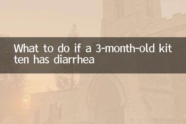 3개월 된 새끼 고양이가 설사를 하면 어떻게 해야 할까요?