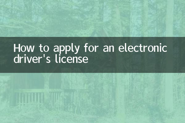 How to apply for an electronic driver's license