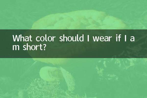 키가 작다면 어떤 색을 입어야 할까요?