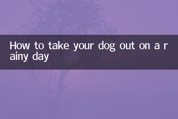 Come portare fuori il cane in una giornata piovosa