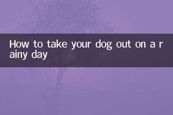 雨の日に犬を連れて出かける方法