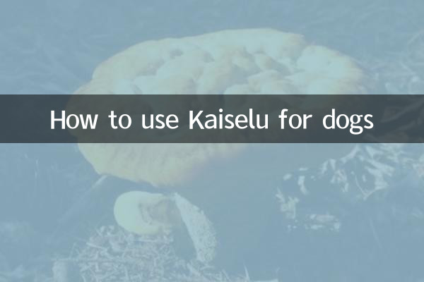 كيفية استخدام كايسيلو للكلاب