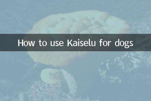 कुत्तों के लिए कैसेलु का उपयोग कैसे करें