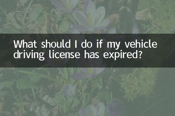 اگر گواهینامه رانندگی وسیله نقلیه من منقضی شده باشد چه باید بکنم؟