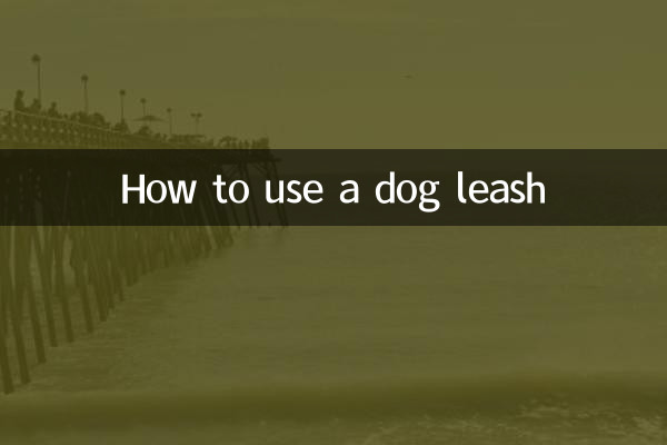 كيفية استخدام مقود الكلب