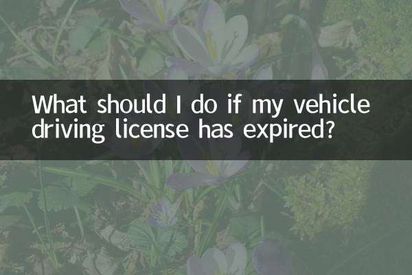আমার গাড়ির ড্রাইভিং লাইসেন্সের মেয়াদ শেষ হলে আমার কী করা উচিত?