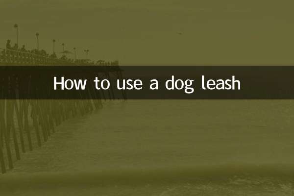 개 가죽 끈을 사용하는 방법