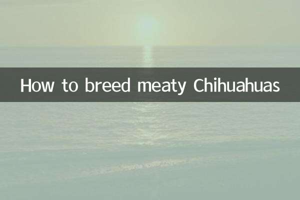 মাংসযুক্ত চিহুয়াহুয়াস কীভাবে প্রজনন করবেন