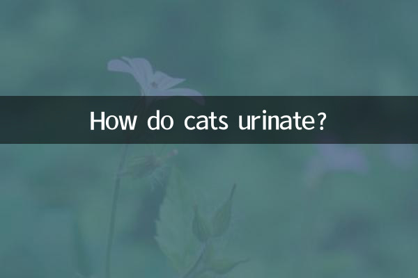貓是怎麼拉尿的