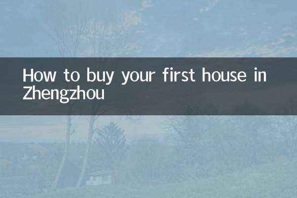 정저우에서 첫 집을 구하는 방법