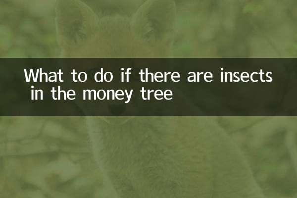 金のなる木に虫が入ったらどうするか