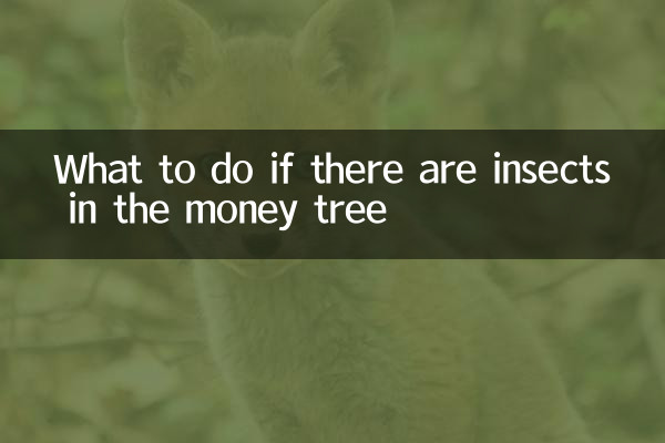 金のなる木に虫が入ったらどうするか