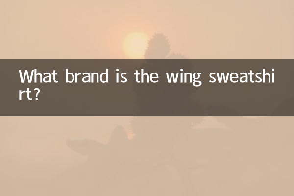 Di che marca è la felpa con le ali?