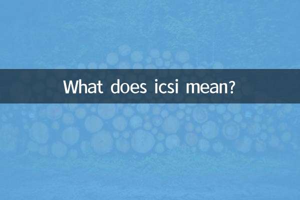 icsi とはどういう意味ですか?