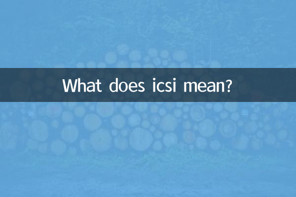 icsi とはどういう意味ですか?