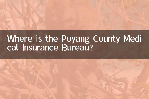 पोयांग काउंटी चिकित्सा बीमा ब्यूरो कहाँ है?