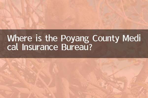 पोयांग काउंटी चिकित्सा बीमा ब्यूरो कहाँ है?