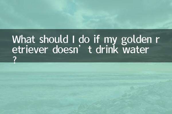 金毛不喝水怎麼辦